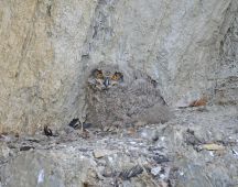 08 Keine Feinde aus Luft oder am Boden